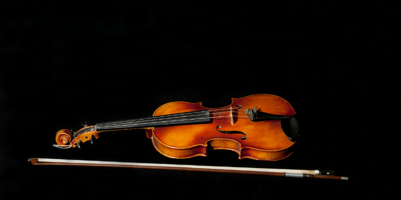 Violin & String Instrument